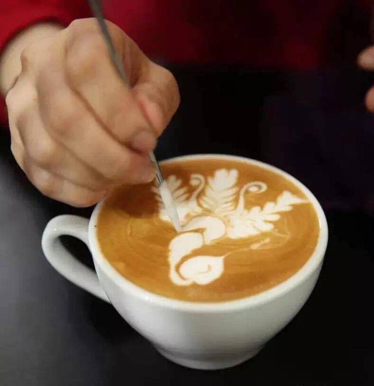 18009409_1775411559138983_1735104849_n