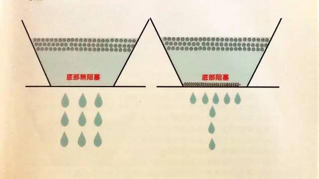 20068150_1890256907654447_1796200722_n