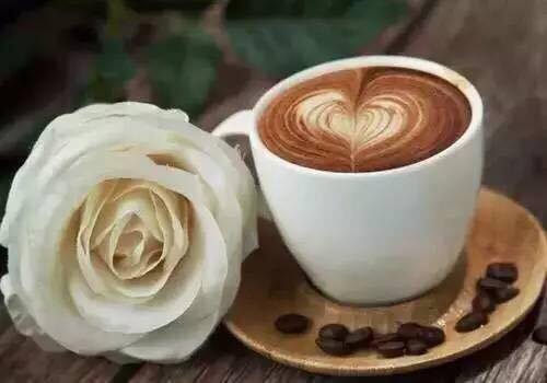 20401339_1894027067277431_13829135_n