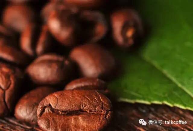 20733100_1910054099008061_422889589_n