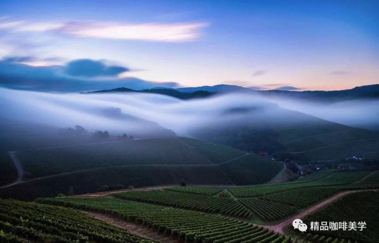 WeChat 圖片_20180719020058