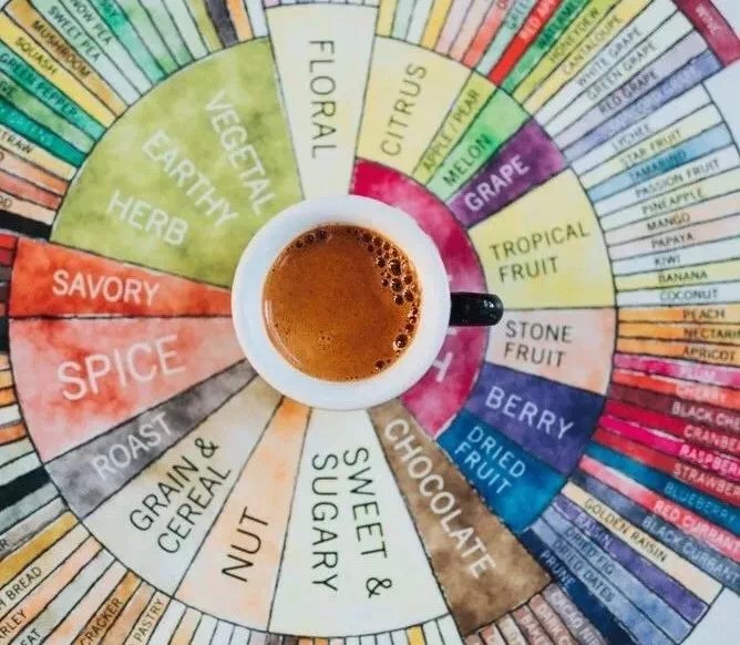 20190403_121422339_iOS