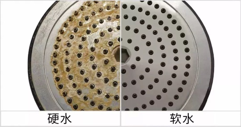 20190408_024422980_iOS