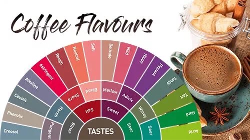 20190412_025654232_iOS