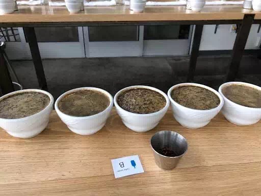 20190415_050309015_iOS