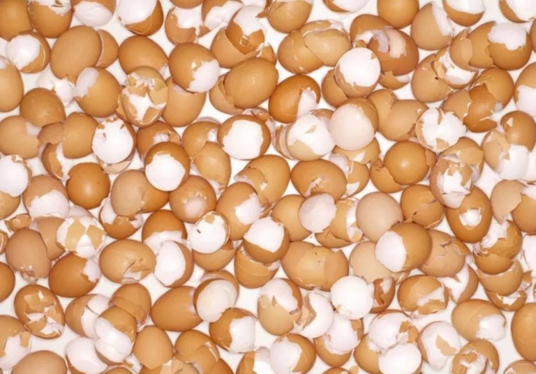 20190421_024245421_iOS