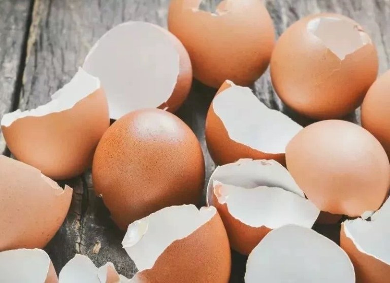 20190421_024311524_iOS