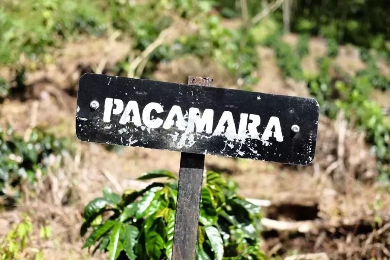 20190421_024510522_iOS