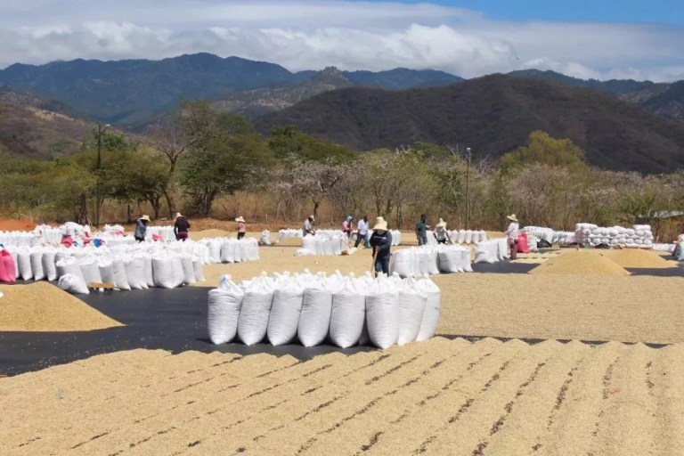 20190421_024517049_iOS