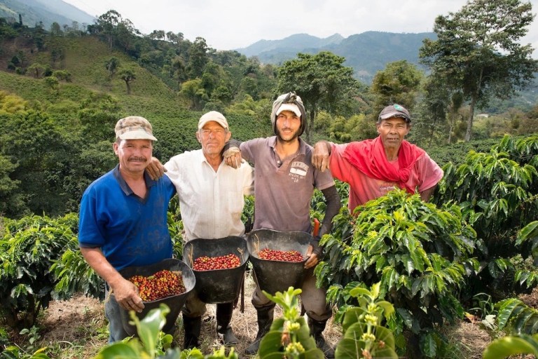 20190421_024825252_iOS