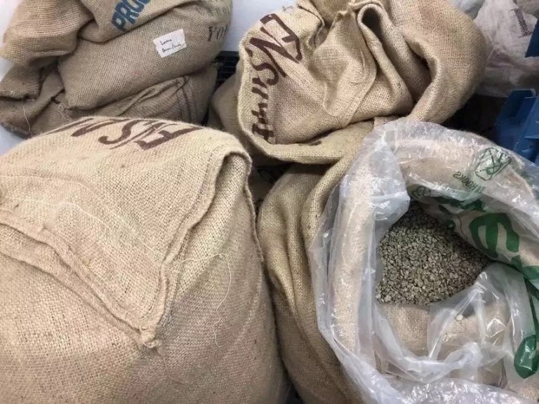 20190425_044010585_iOS