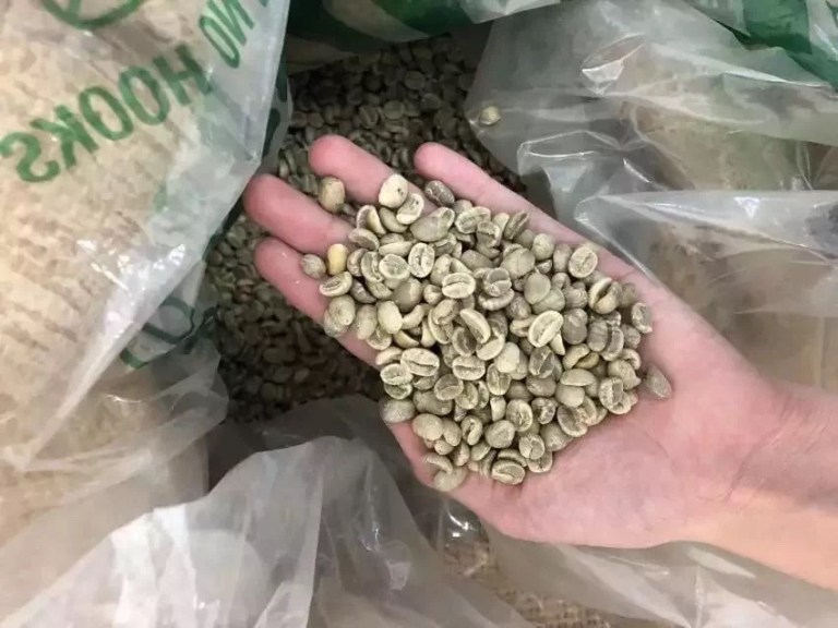 20190425_044013373_iOS