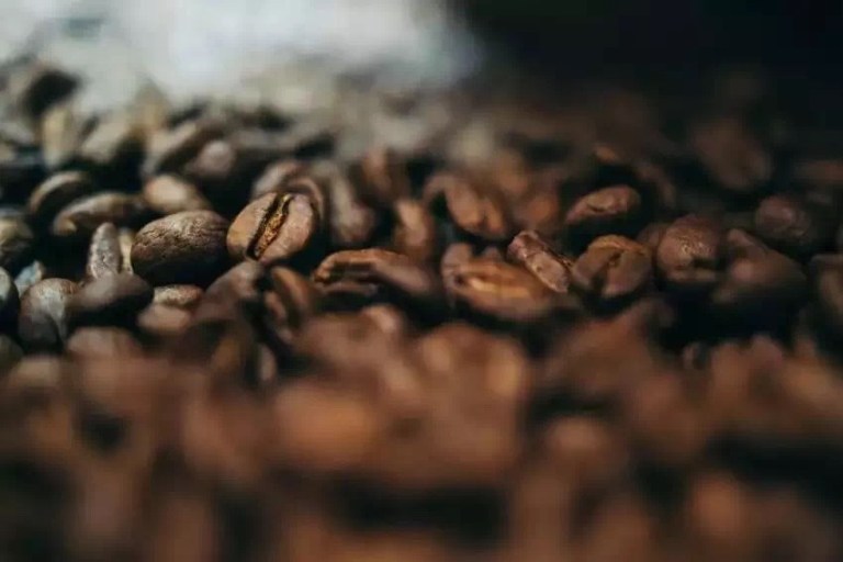 20190425_044022351_iOS