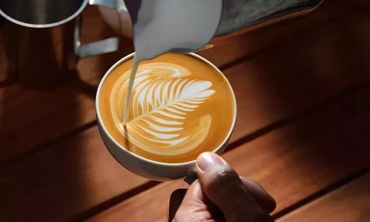 20190425_044124955_iOS