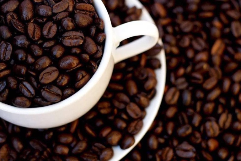 20190506_014427871_iOS