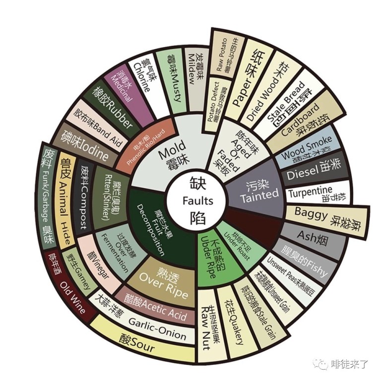 20190506_015049417_iOS