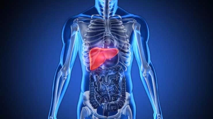 20190506_015531043_iOS