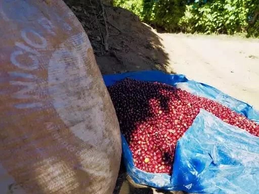 20190519_040754179_iOS