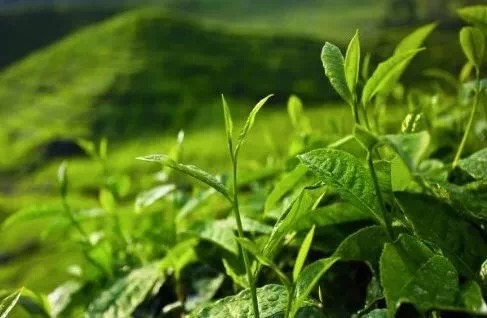 20190519_041057478_iOS