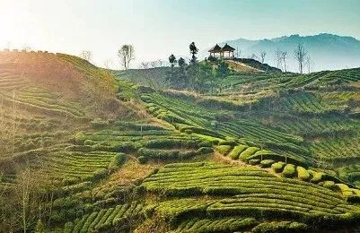 20190519_041109661_iOS