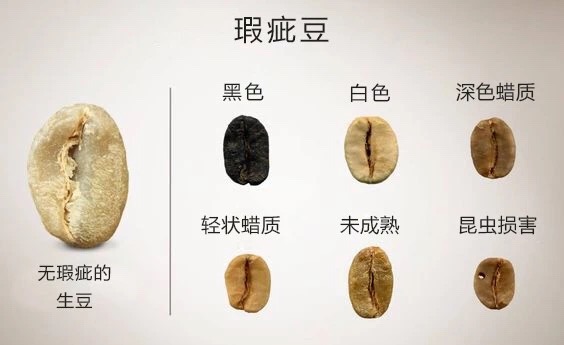 20190519_041214082_iOS