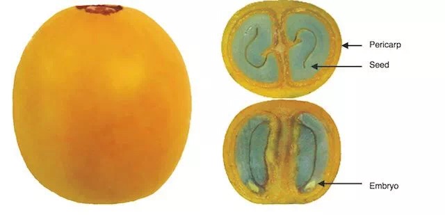 20190602_022500846_iOS