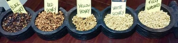 20190602_022503932_iOS