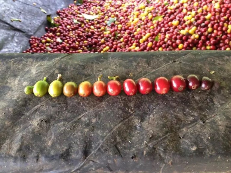 20190602_022507111_iOS