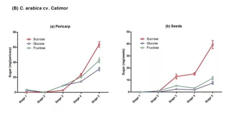 20190602_022514243_iOS