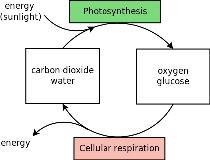 20190602_022539351_iOS