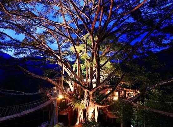 20190602_122144972_iOS