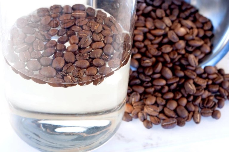 20190610_031241899_iOS