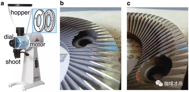 20190614_041335699_iOS