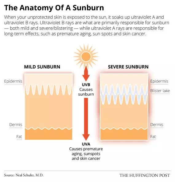 20190614_041427066_iOS