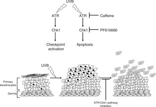 20190614_041437102_iOS