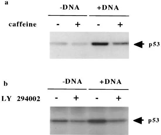 20190614_041440404_iOS