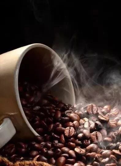 20190614_041617377_iOS