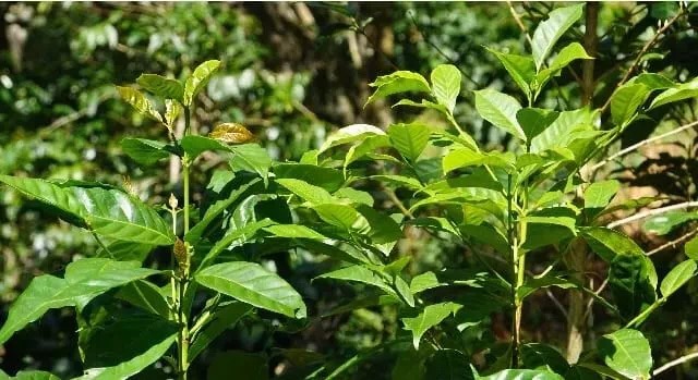 20190614_042435207_iOS