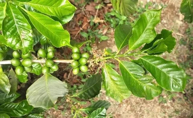 20190614_042451036_iOS