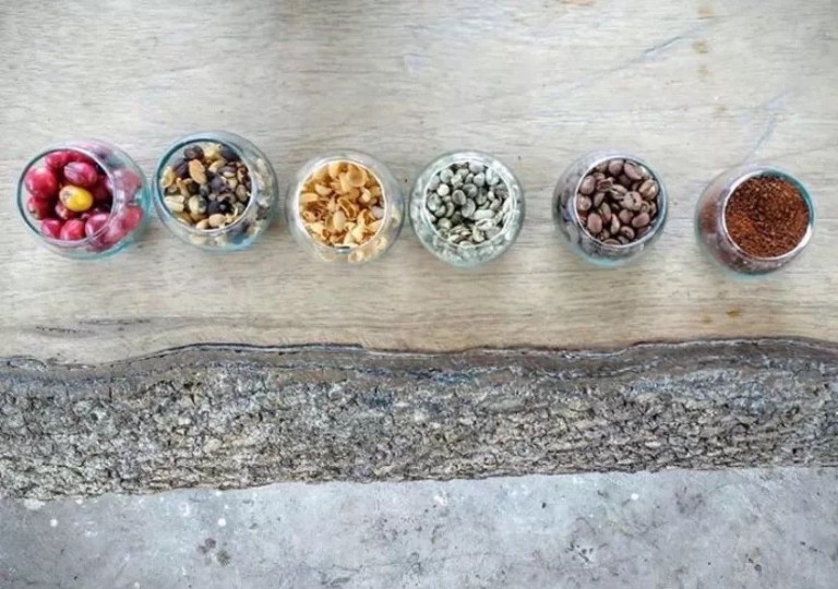 20190623_042316534_iOS