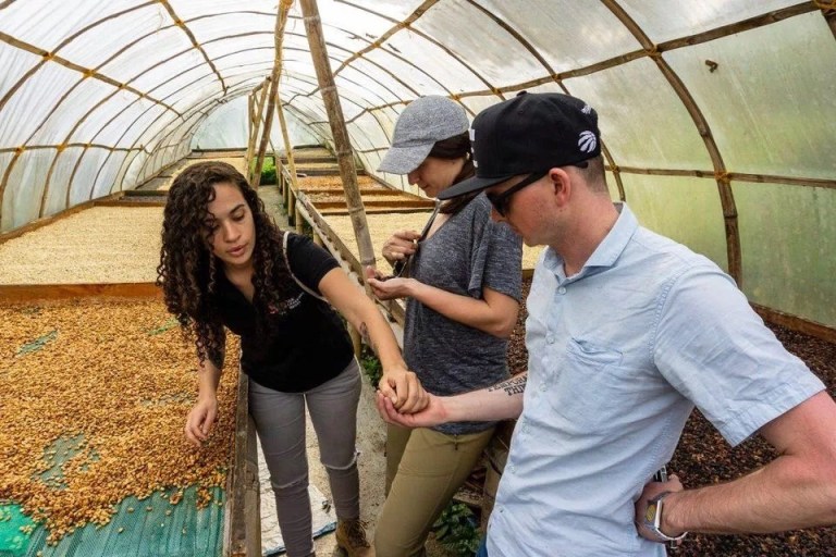 20190623_042930599_iOS