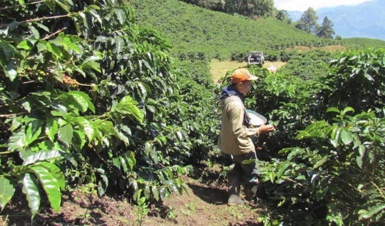 20190623_042939626_iOS