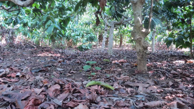 20190707_081340221_iOS