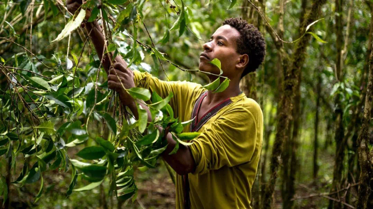 20190707_081343713_iOS