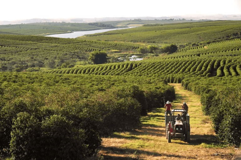 20190707_081350964_iOS