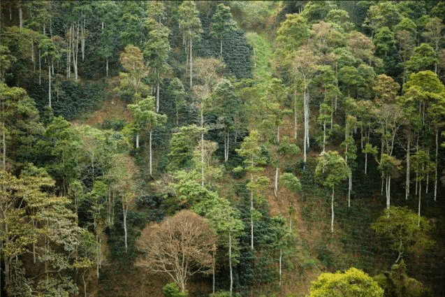 20190707_081439926_iOS