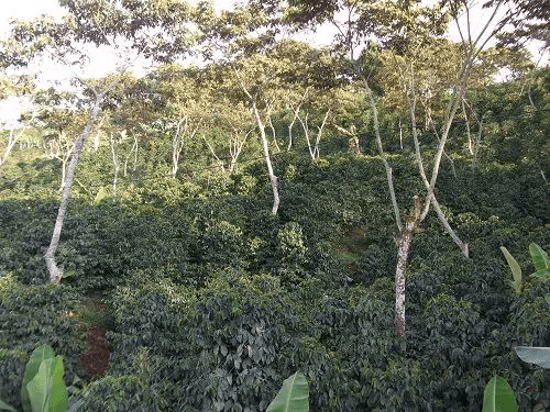 20190707_081443790_iOS