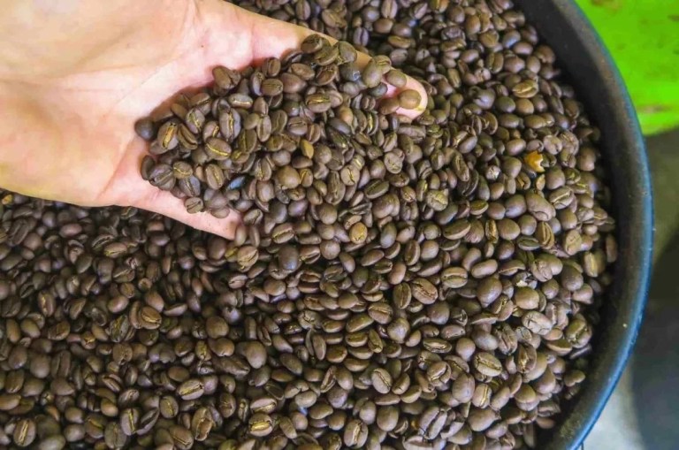 20190712_031705098_iOS