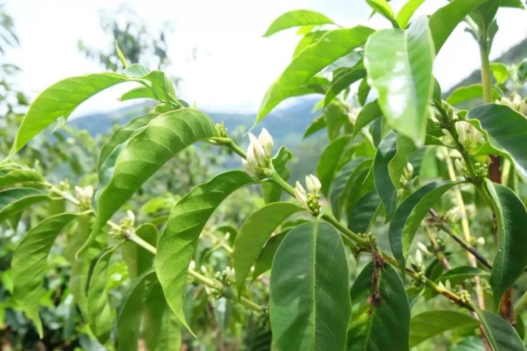 20190712_033010288_iOS