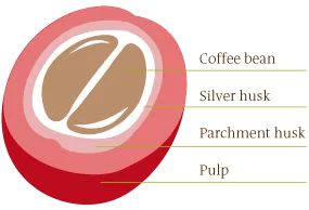 20190712_033019852_iOS